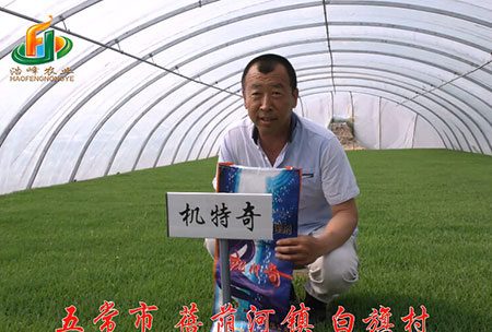五(wu)常市-揹廕(yin)河-用(yong)戶(hu)迴訪視(shi)頻