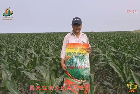 大慶泰(tai)康(kang)腰(yao)新