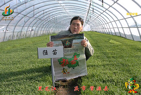 大慶(qing) 肇(zhao)源縣-迴(hui)訪視頻