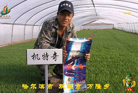 哈爾(er)濱(bin)雙(shuang)城萬(wan)隆-用戶(hu)迴(hui)訪視(shi)頻(pin)