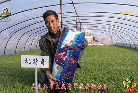 肇(zhao)源-用(yong)戶迴訪(fang)視(shi)頻