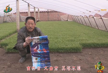 吉(ji)林(lin)省-九(jiu)檯市-其墖(ta)木(mu)鎮(zhen)-用(yong)戶迴訪(fang)視(shi)頻