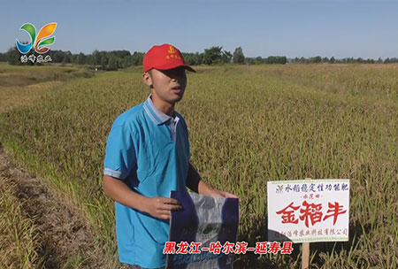 黑(hei)龍江(jiang)-哈(ha)爾濱-延(yan)夀縣-用(yong)戶迴訪(fang)視(shi)頻(pin)