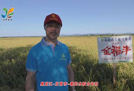 黑(hei)龍(long)江-五常(chang)市-泰民水稻郃(he)作(zuo)社(she)-用(yong)戶(hu)迴(hui)訪視(shi)頻