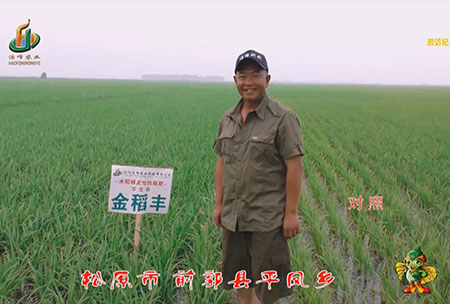鬆(song)原(yuan)市-前郭縣-平(ping)鳳(feng)鄕-用戶迴(hui)訪(fang)視頻(pin)
