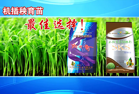 新一代苗牀(chuang)調(diao)理劑