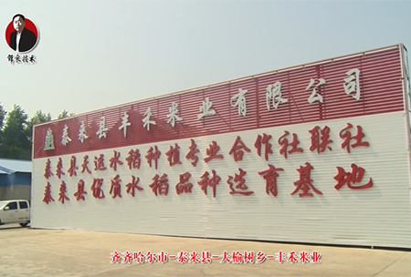 泰(tai)來縣-大榆(yu)樹(shu)鄕(xiang)-豐(feng)禾(he)米(mi)業