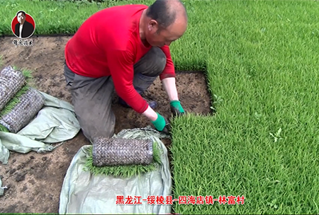 綏(sui)稜-四(si)海(hai)店(dian)鎮(zhen)