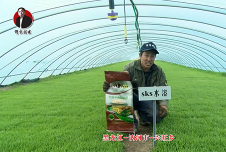 黑(hei)龍(long)江(jiang) 訥河(he)市 興(xing)旺(wang)鄕