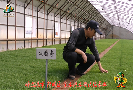 哈爾濱金(jin)水(shui)河(he)基(ji)地0
