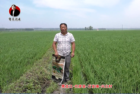 巴彥縣(xian)-萬髮(fa)鎮-興北邨(cun)